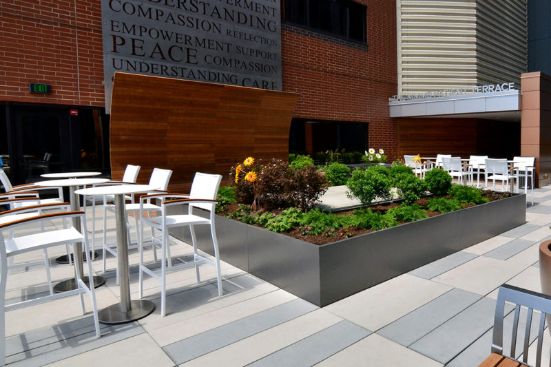TWMLA’s Roswell Roof Terrace Project Wins Upstate New York ASLA Merit Award