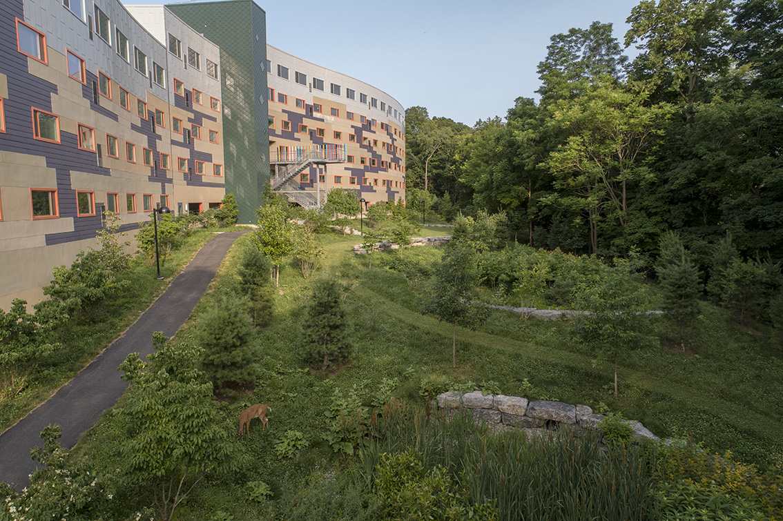 Collegetown Terrace bioretention area