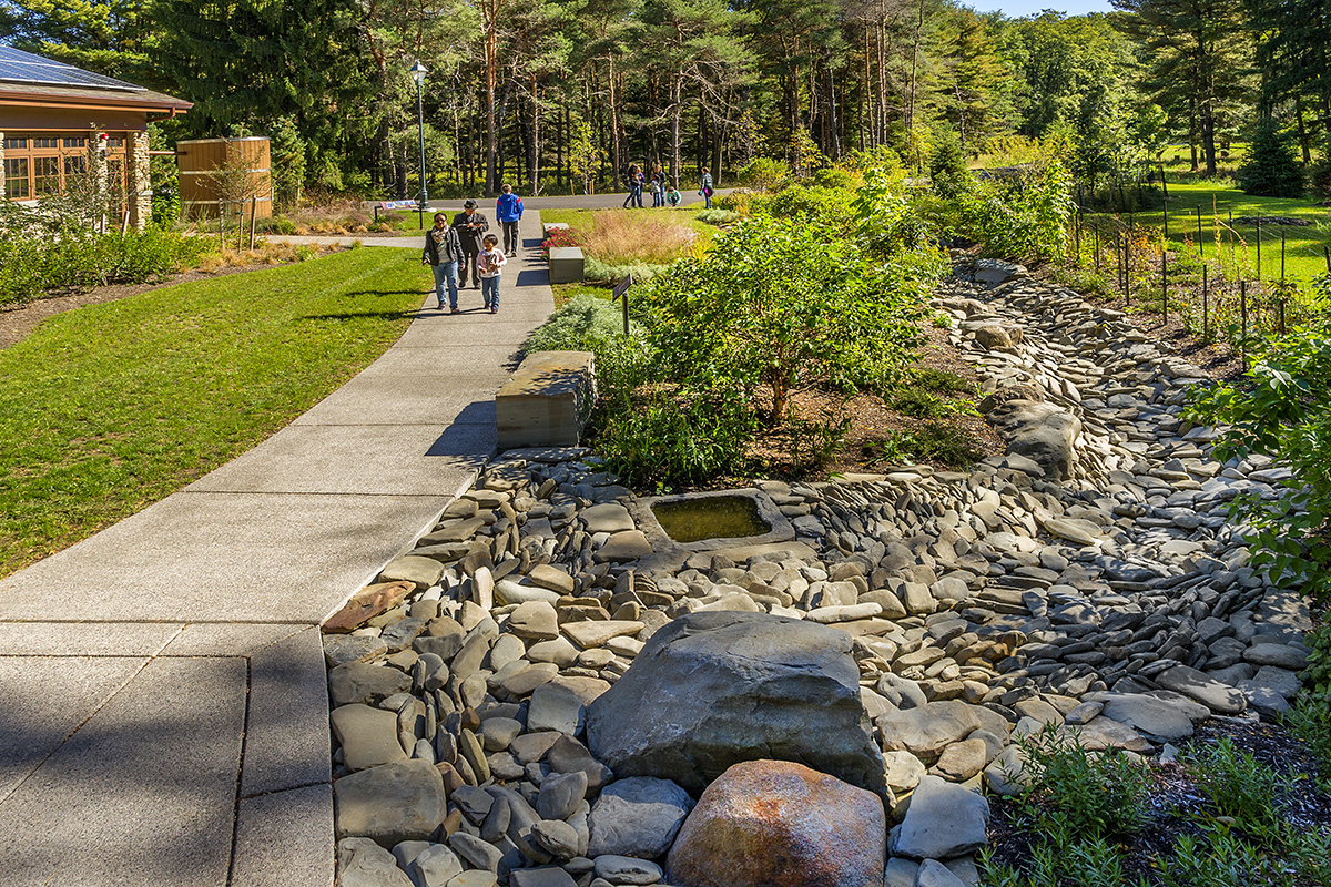 letchwork-nature-center_6_1200x800.jpg