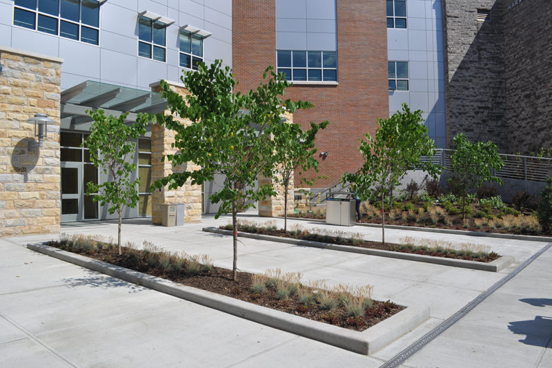 LEED Gold for SUNY Orange Rowley Center